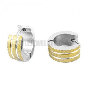 Stainless Steel Gold Hoop Earring SJE370148